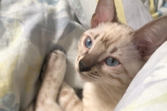 IMG-20190110-WA0027